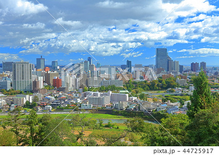 青葉山から見た仙台都市風景 青葉山から見た仙台都市風景 44725917