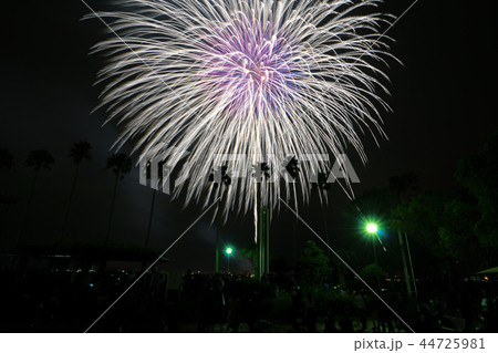 名古屋港水上芸術花火大会302 44725981