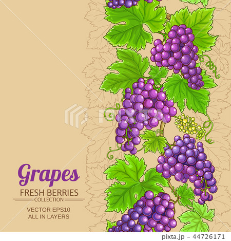 grapes vector patternのイラスト素材 [44726171] - PIXTA