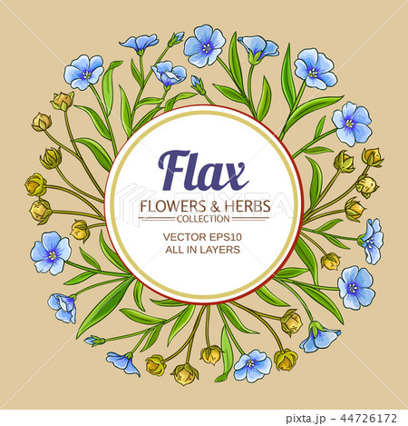 flax vector frame 44726172