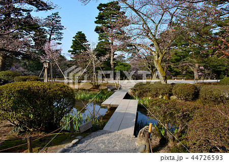 兼六園・梅林の園路・曲水（水路）に掛かった楽しそうな橋（１） 44726593
