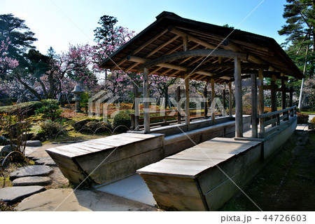 兼六園 梅林の中に再建された舟之御亭 ふなのおちん と桜 梅の眺め ２ の写真素材