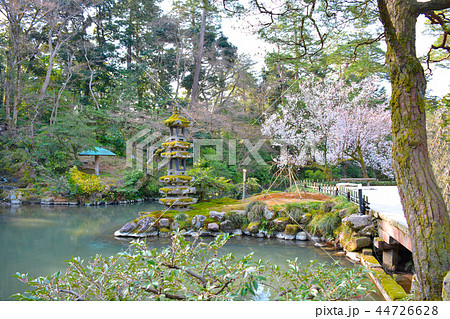 兼六園・瓢箪池（ひさごいけ）の園路と桜の眺め（３） 44726628
