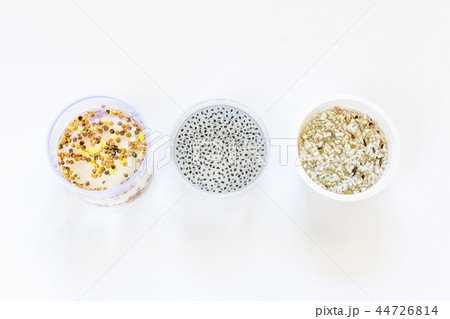 Seeds soak in bowls isolated on white background  44726814