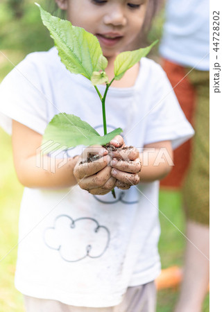 Asian girl hands holding small plant Asian girl hands holding small plant 44728202