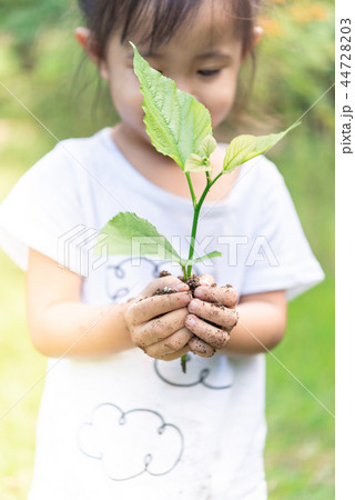 Asian girl hands holding small plant Asian girl hands holding small plant 44728203