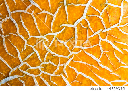 peel of ripe melon, yellow abstract background, peel of ripe melon, yellow abstract background, 44729336