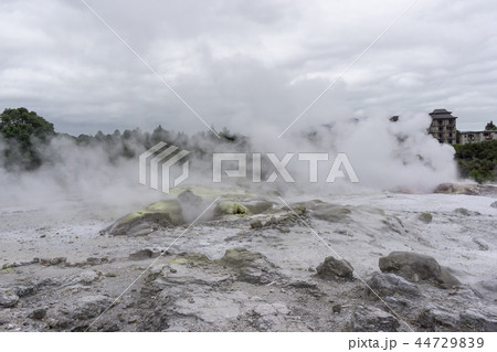 te puia geothermal valley te puia geothermal valley 44729839