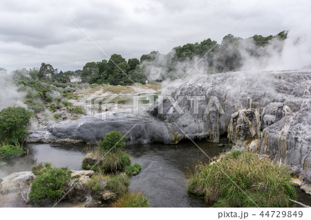te puia geothermal valley 44729849