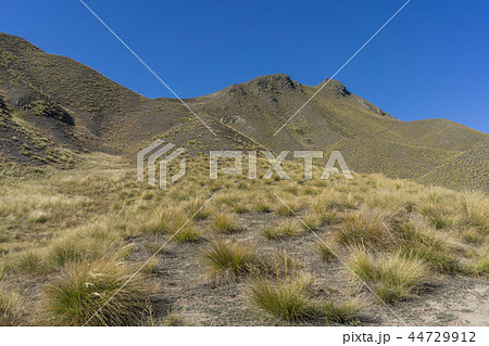 lindis pass 44729912