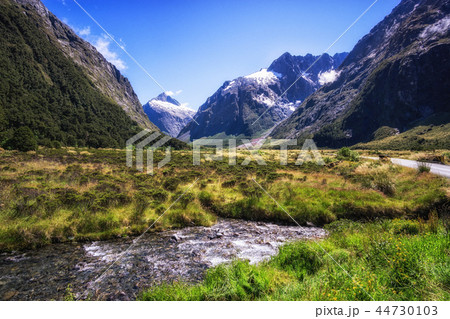 hollyford valley creek 44730103