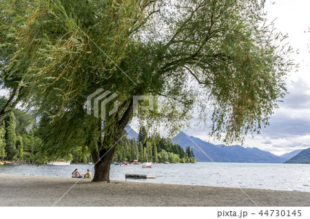 lake wakatipu view in queenstown 44730145