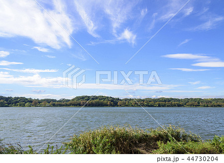 夏の佐鳴湖の風景（静岡県浜松市） 44730204