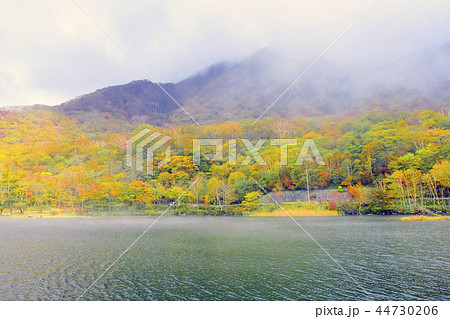 秋の赤城山大沼 44730206