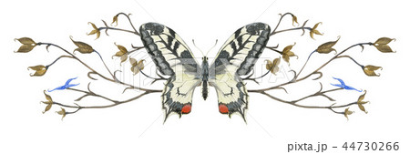 Nature design vignette with butterfly  and plants 44730266