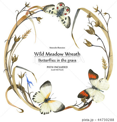 Eco design wreath with buttetrflies and plants Eco design wreath with buttetrflies and plants 44730288