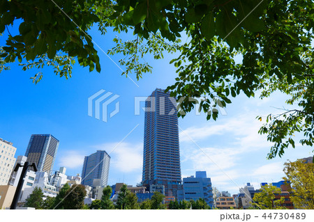 南池袋公園と高層ビル群 青空 南池袋公園と高層ビル群 青空 44730489