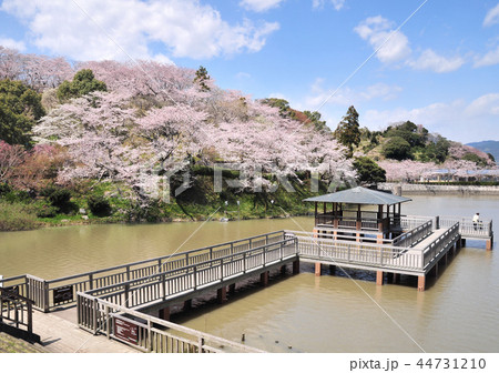 船越堤公園-18507 船越堤公園-18507 44731210