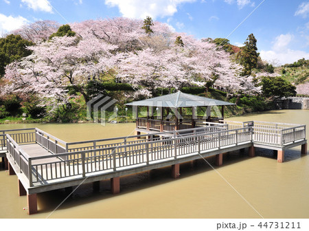 船越堤公園-18508 44731211