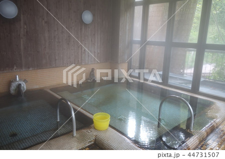 長野県鹿教湯温泉河鹿荘内湯 44731507