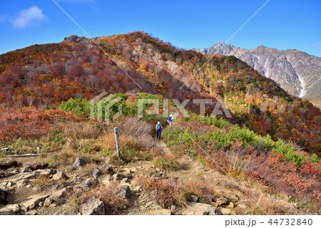 長野県白馬村 秋の五竜岳登山 小遠見山トレッキングコースの紅葉 長野県白馬村 秋の五竜岳登山 小遠見山トレッキングコースの紅葉 44732840