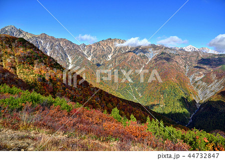 長野県白馬村 五竜岳登山 小遠見トレッキングコースから見る北アルプス 長野県白馬村 五竜岳登山 小遠見トレッキングコースから見る北アルプス 44732847