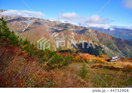 長野県白馬村 白馬五竜 アルプス平から見る唐松岳と白馬三山 長野県白馬村 白馬五竜 アルプス平から見る唐松岳と白馬三山 44732908