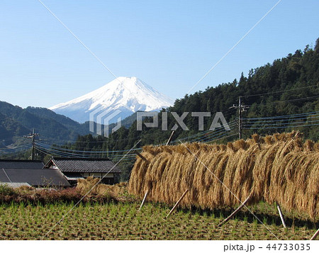 富士山 44733035