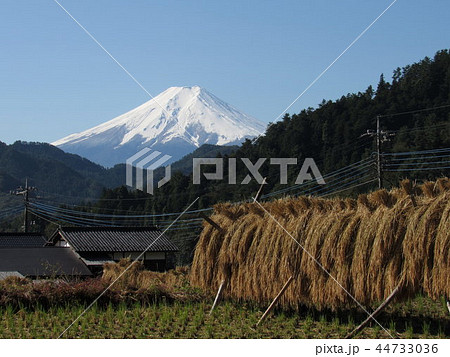 富士山 44733036