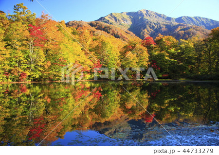 刈込池の紅葉の写真素材