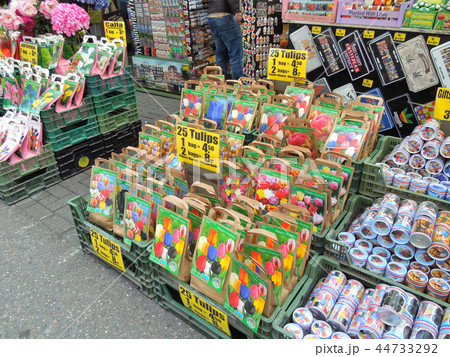 アムステルダムの花市場 アムステルダムの花市場 44733292