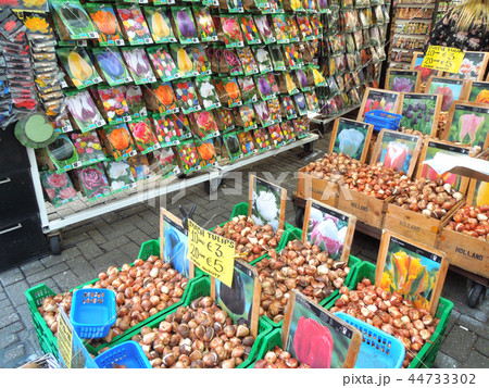 アムステルダムの花市場 アムステルダムの花市場 44733302