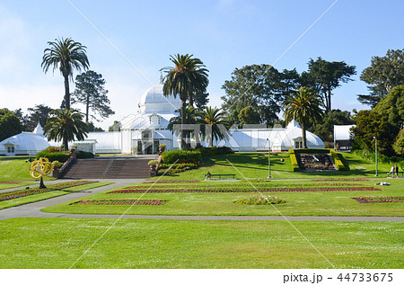 サンフランシスコ ゴールデンゲートパーク 植物園の写真素材
