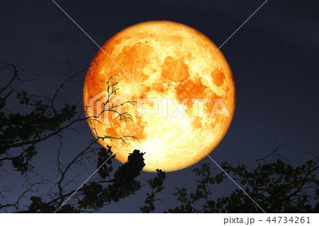 super full blood moon floats in dark night sky super full blood moon floats in dark night sky 44734261