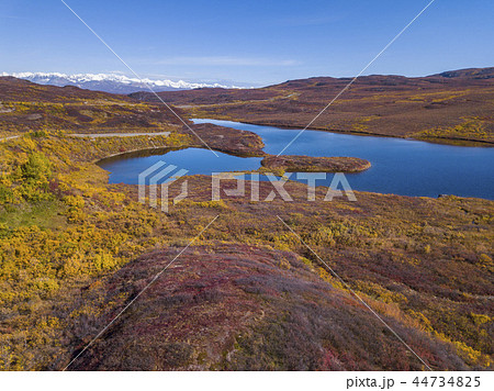 ツンドラ地帯　アラスカ　Tundra of the high latitudes of Alaska 44734825