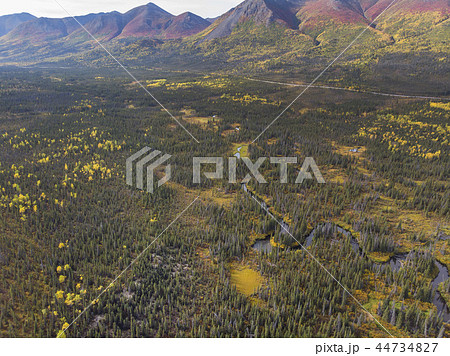 ツンドラ地帯　アラスカ　Tundra of the high latitudes of Alaska 44734827