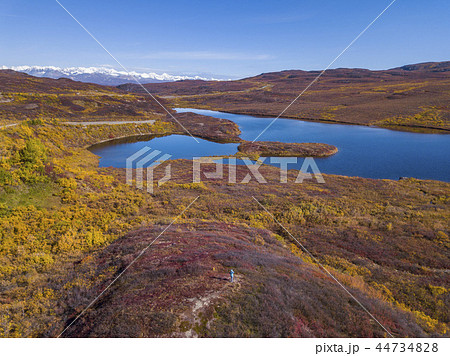 ツンドラ地帯　アラスカ　Tundra of the high latitudes of Alaska 44734828