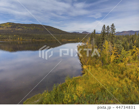 ツンドラ地帯　アラスカ　Tundra of the high latitudes of Alaska 44734831