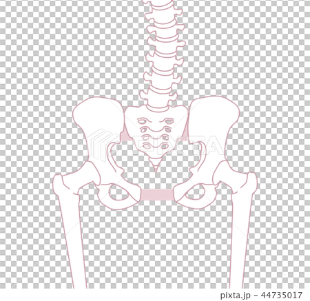 Loose pelvis Loose pelvis 44735017