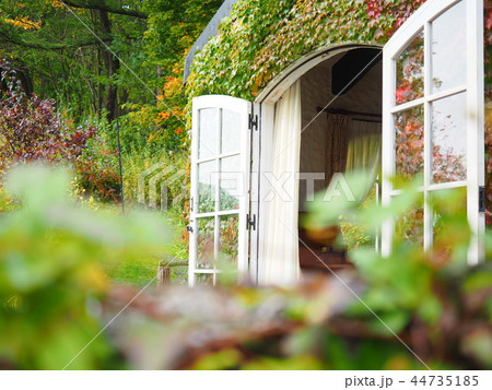 イングリッシュガーデン 格子窓 イングリッシュガーデン 格子窓 44735185