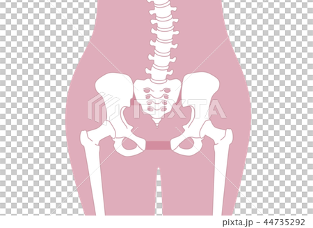 骨盤の緩み 腰部 ピンク 44735292
