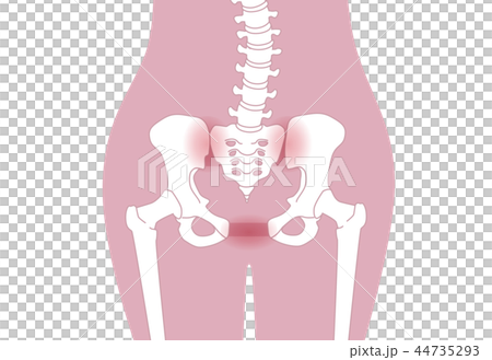 Loose pelvis Lumbar pink Loose pelvis Lumbar pink 44735293