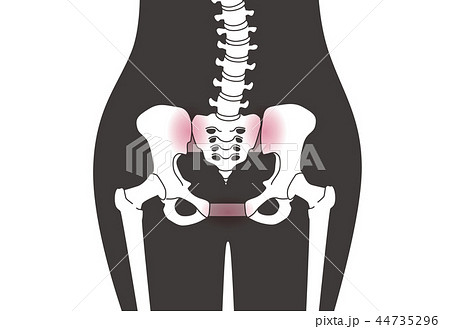 骨盤の緩み 腰部 黒 44735296