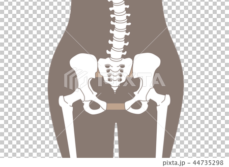 鬆散的骨盆腰部棕色 44735298