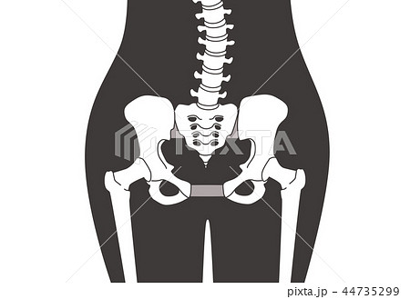 骨盤の緩み 腰部 黒 44735299