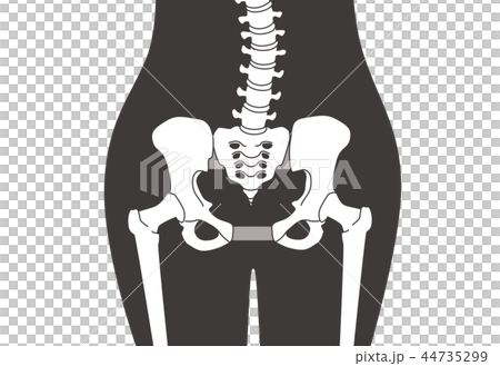 鬆散的骨盆腰部黑色 44735299