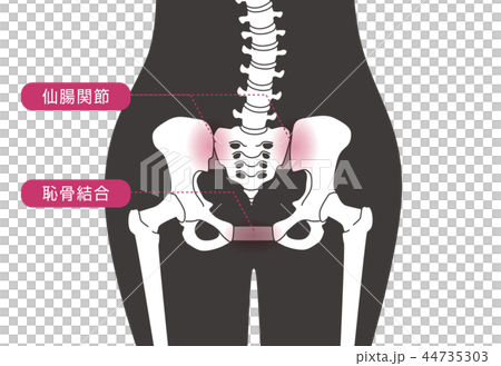 骨盤の緩み 腰部 黒 骨盤の緩み 腰部 黒 44735303