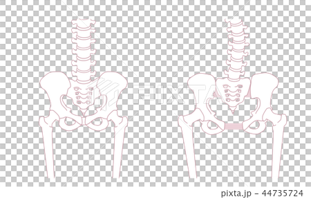 Loose pelvis 44735724