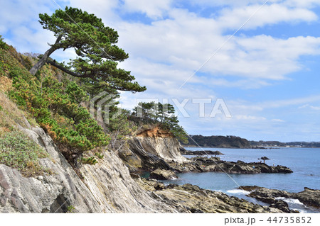 荒崎海岸 44735852