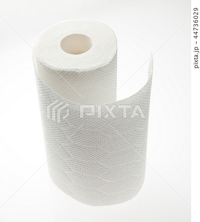 キッチンペーパー キッチンペーパー 44736029